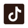 TikTok Icon